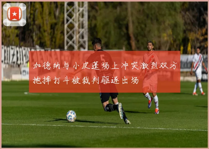 加德纳与小皮蓬场上冲突激烈双方抱摔打斗被裁判驱逐出场