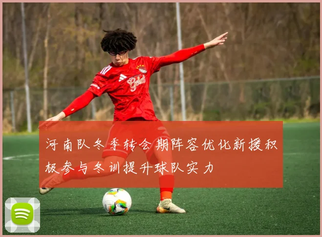河南队冬季转会期阵容优化新援积极参与冬训提升球队实力