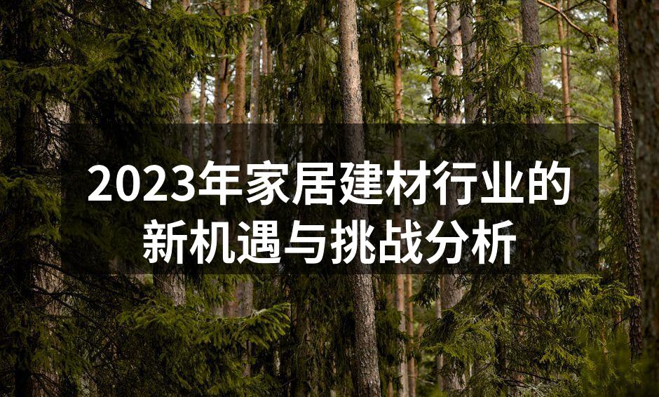2023年家居建材行业的新机遇与挑战分析